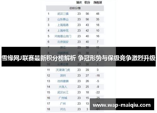 雪缘网J联赛最新积分榜解析 争冠形势与保级竞争激烈升级